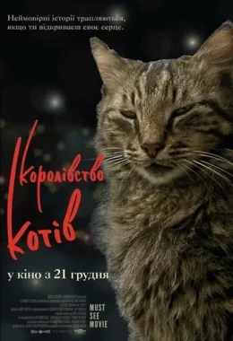 Королівство котів дивитися українською онлайн HD якість Королівство котів дивитися українською онлайн HD якість