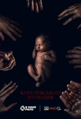 Королівський приплив дивитися українською онлайн HD якість Королівський приплив дивитися українською онлайн HD якість