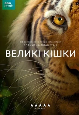 Великі кішки дивитися українською онлайн HD якість Великі кішки дивитися українською онлайн HD якість